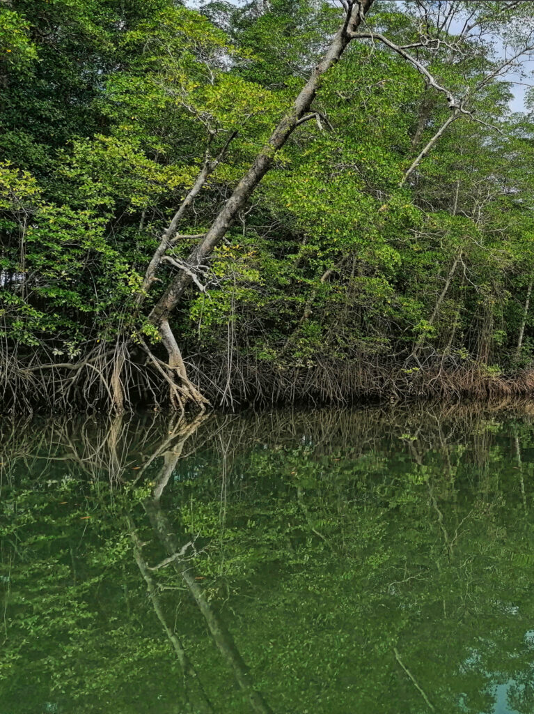 Gulf of Montijo RAMSAR Site