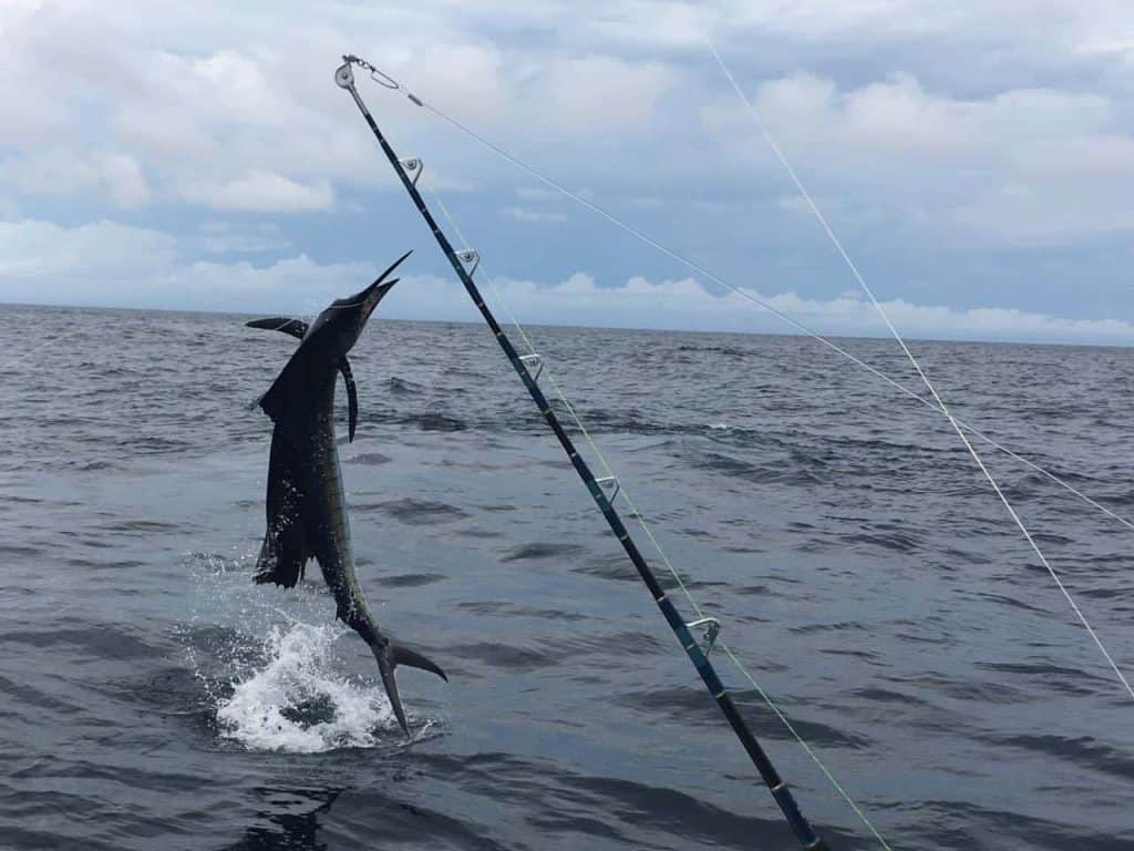 Pesca de altura en el océano Pacífico cerca de Coiba, Panamá