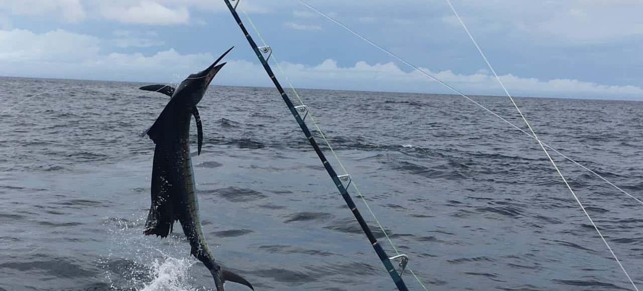 Big Game Fishing in Panama