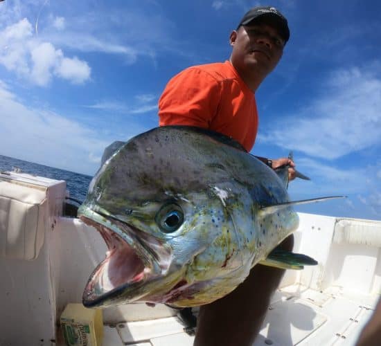 Mahi Mahi Sport Fishing in Panama