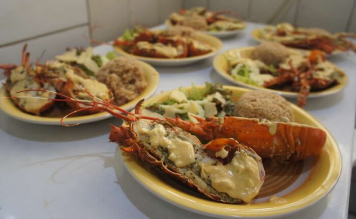 Cebaco Sunrise - Lobster Lunch