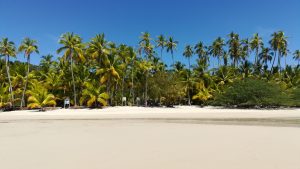 Racheria Island - Portrait