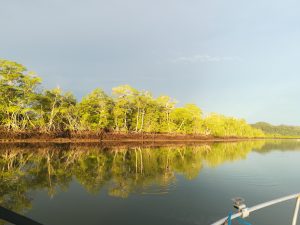 Gulf of Montijo Tour