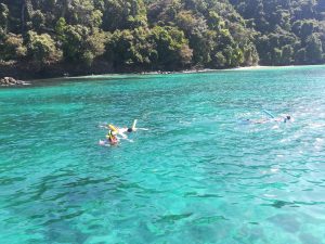 Coiba Under Water Corals
