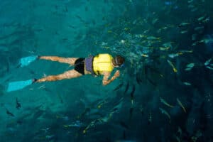 Tour de Snorkel en Panamá