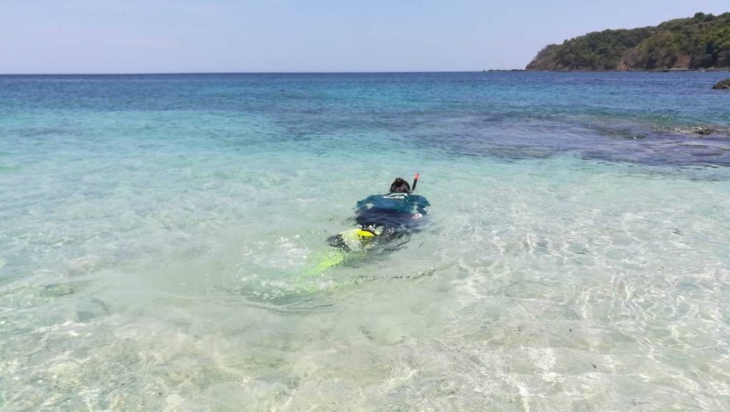 Snorkel en Caleta Caimán, Isla Tintorera, Cébaco