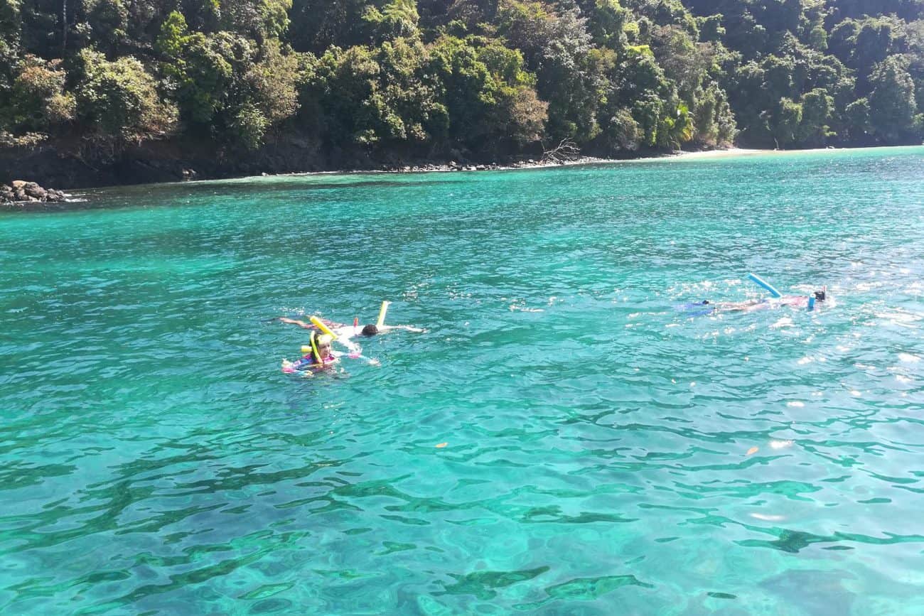 Coiba Under Water Corals