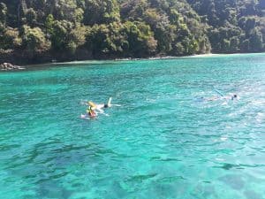 Coiba Under Water Corals