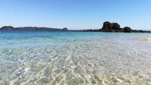 Granito de Oro Island, Wild Paradise