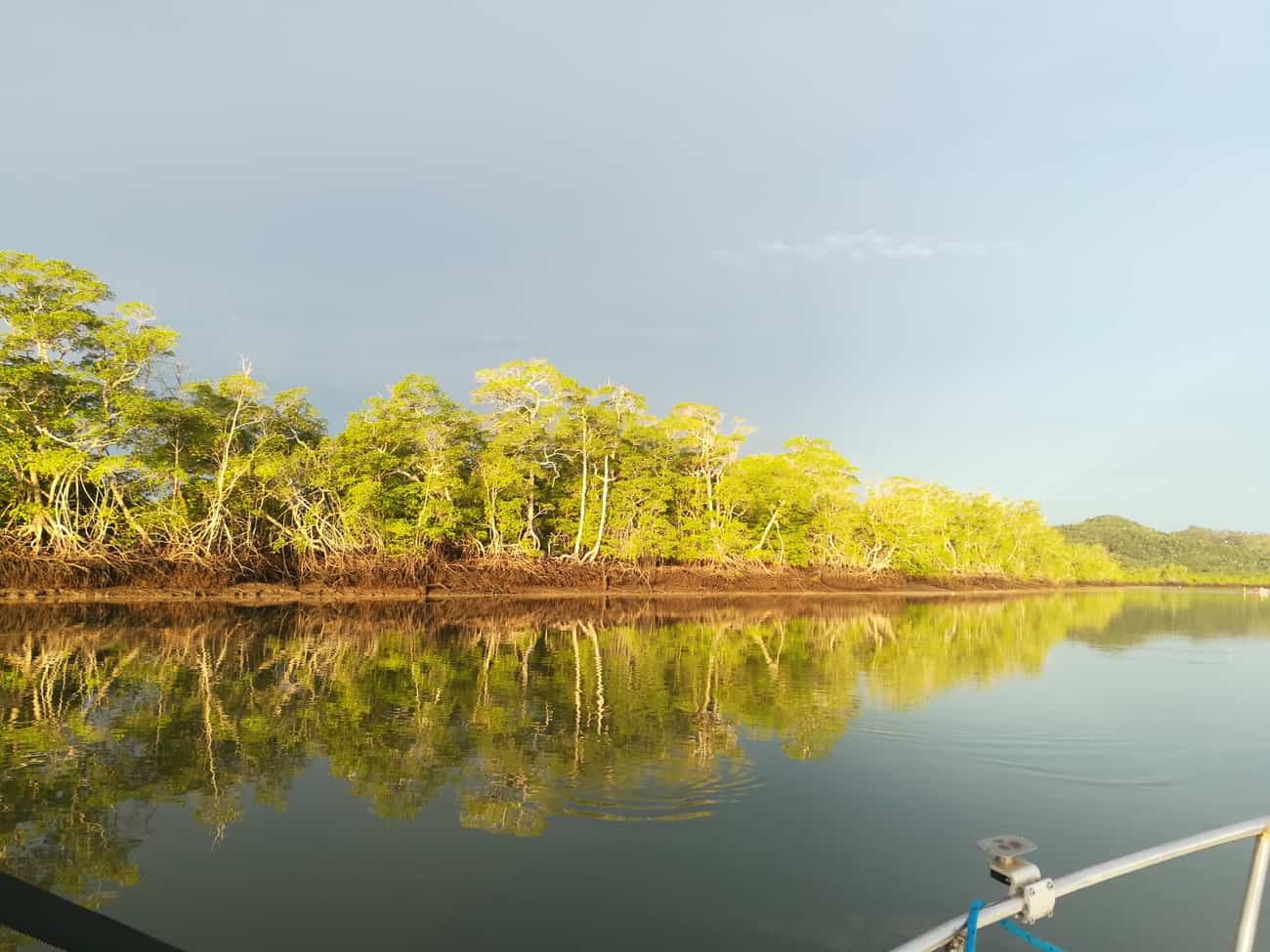 Gulf of Montijo Tour