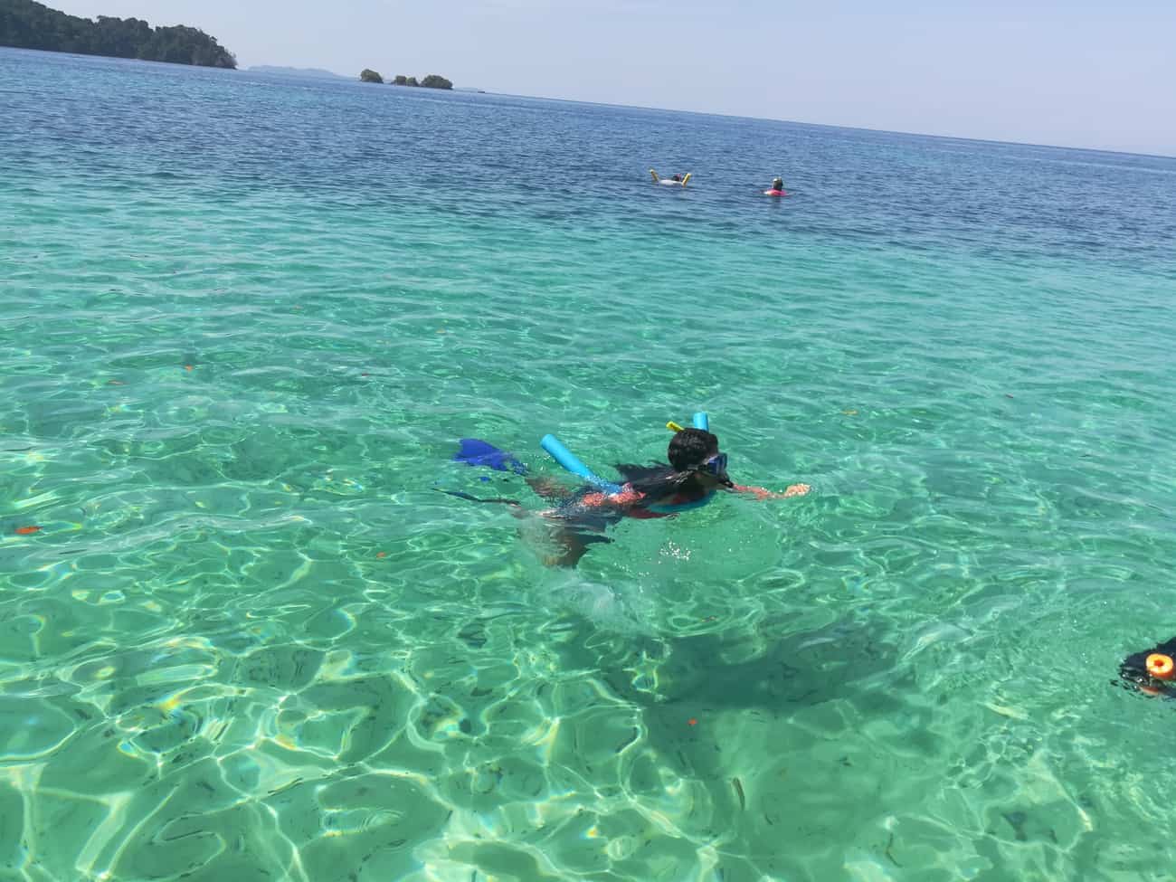 Snorkeling Tour in Coiba