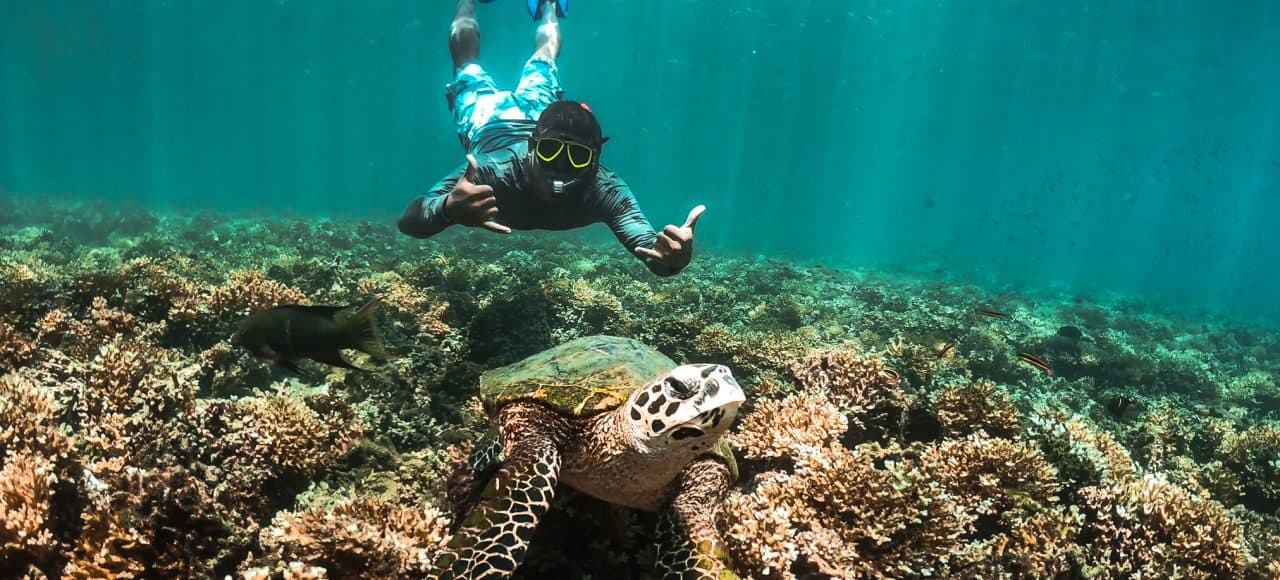 Priceless Snorkeling Photo - Granito de Oro