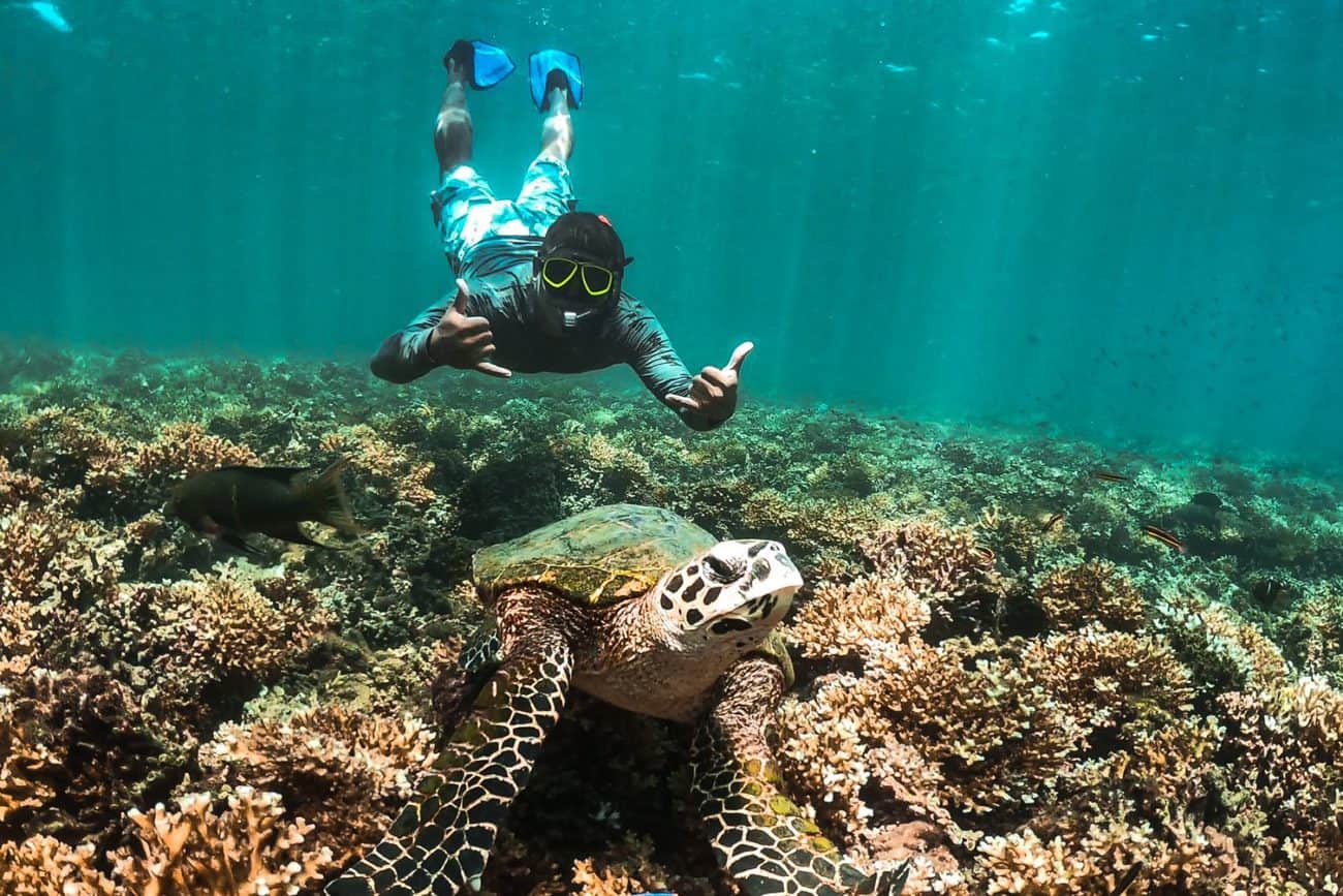 Priceless Snorkeling Photo - Granito de Oro