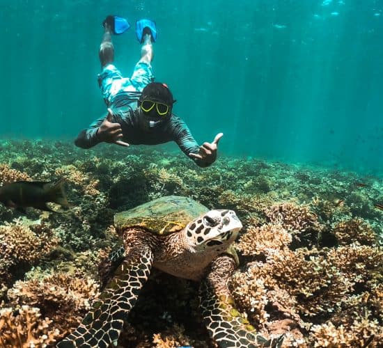 Priceless Snorkeling Photo - Granito de Oro