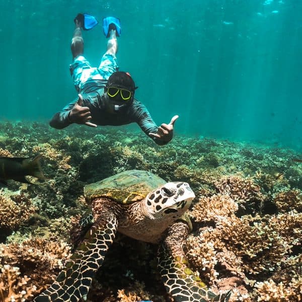 Priceless Snorkeling Photo - Granito de Oro