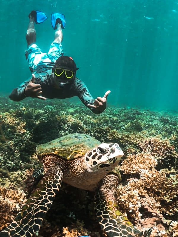 Priceless Snorkeling Photo - Granito de Oro
