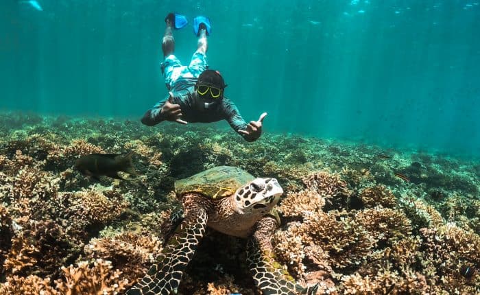 Priceless Snorkeling Photo - Granito de Oro