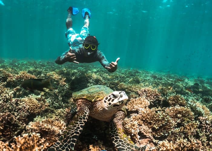 Priceless Snorkeling Photo - Granito de Oro