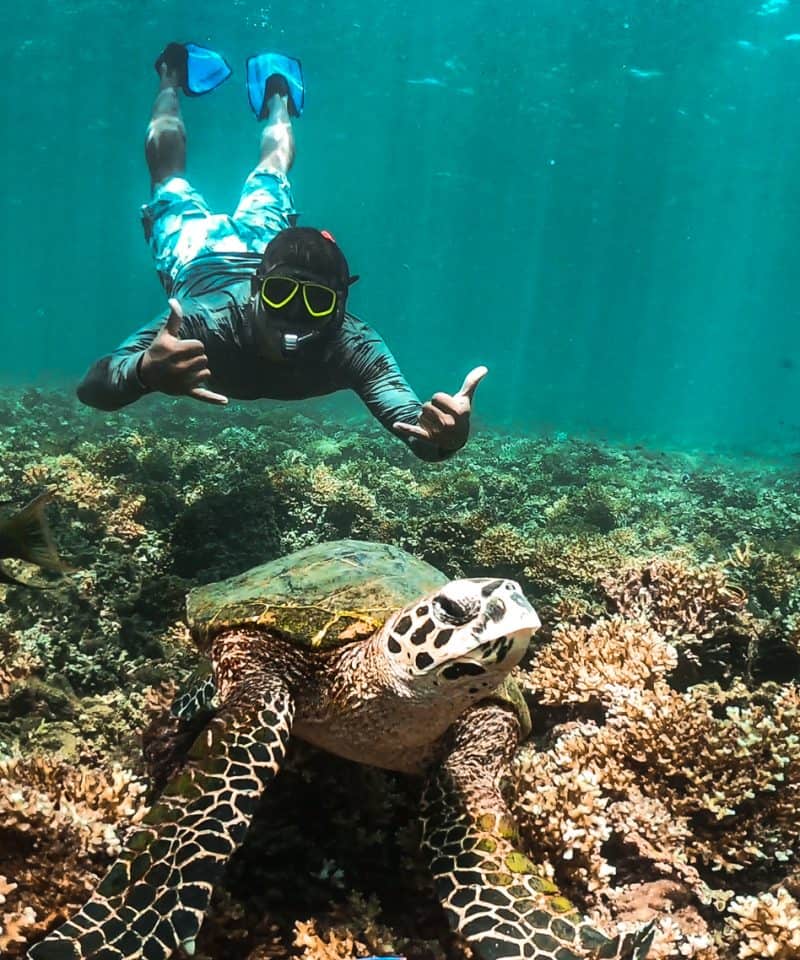 Priceless Snorkeling Photo - Granito de Oro