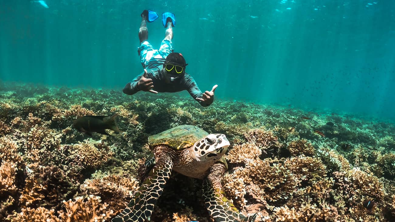 Priceless Snorkeling Photo - Granito de Oro