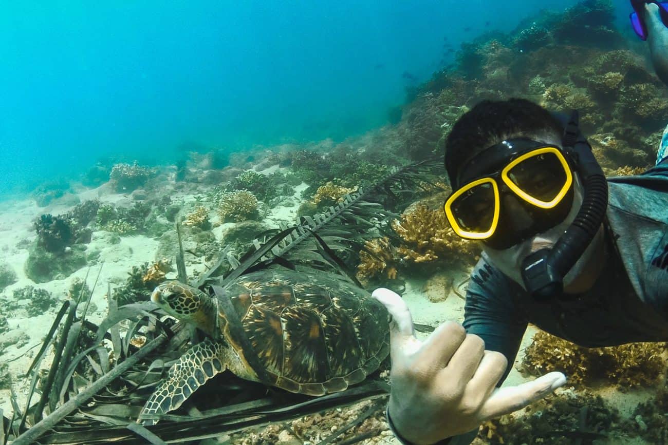 SeaTurtles Selffies - Snorkeling Panama