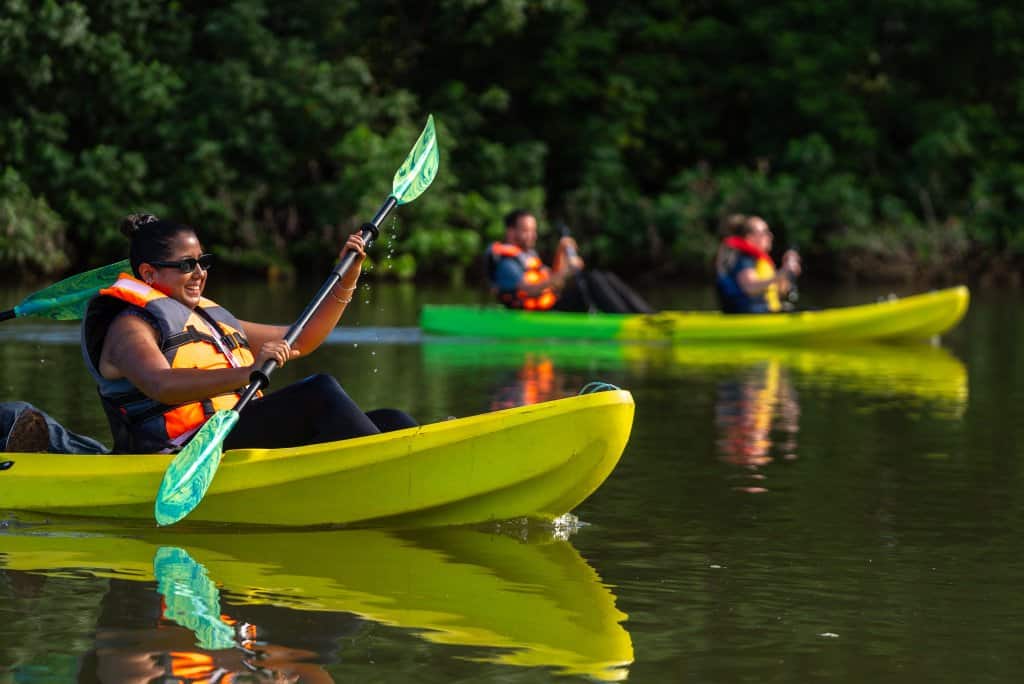 Kayak entre los manglares del Golfo de Montijo