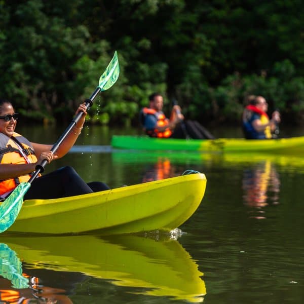Gulf of Montijo Kayak