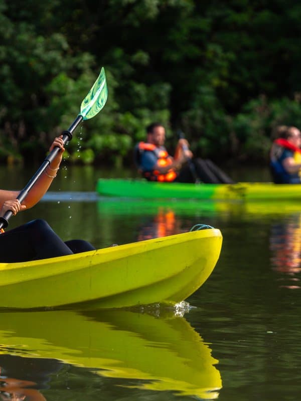 Gulf of Montijo Kayak