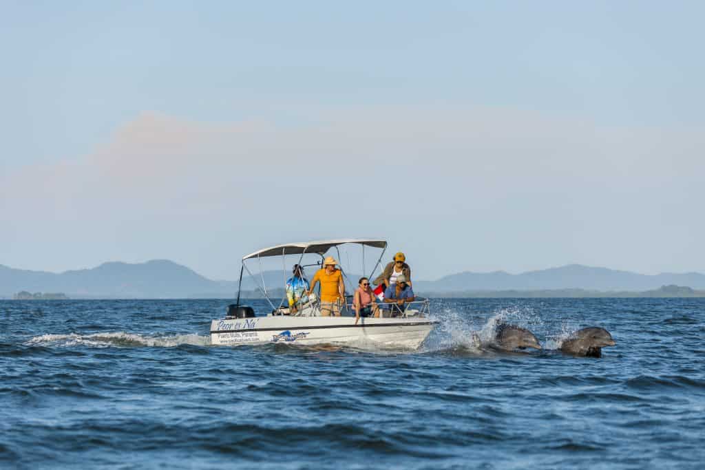 Bote privado observando delfines en el Golfo de Montijo, Veraguas