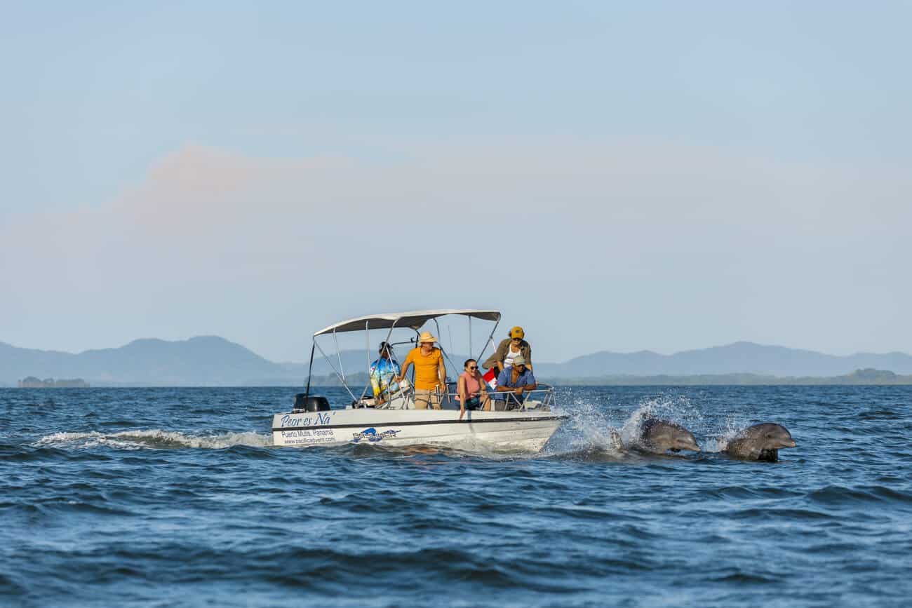 Dolphin photo safari at Gulf of Montijo, the best dolphin watching experience for families.