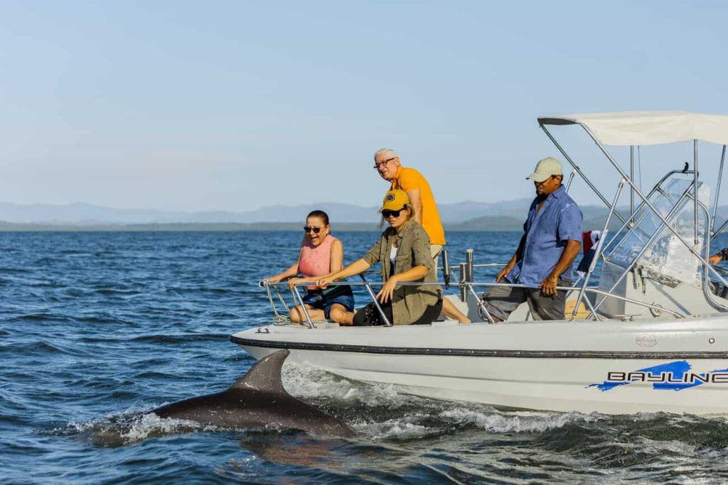 Bottlenose dolphins surfacing next to a boat in the Gulf of Montijo