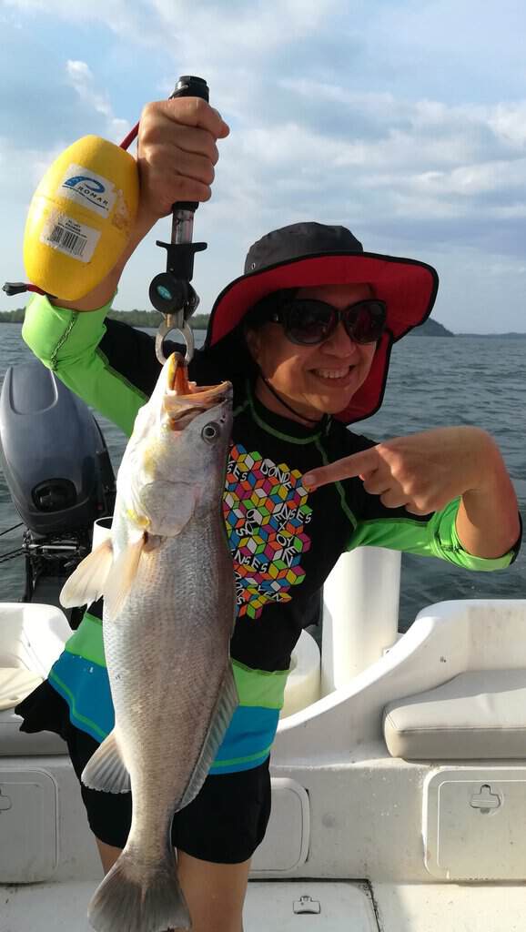 Croaker corvina caught in Mutis, Gulf of Montijo