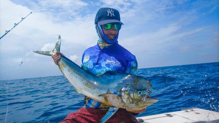 Mahi Mahi Fishing Tours in Panama