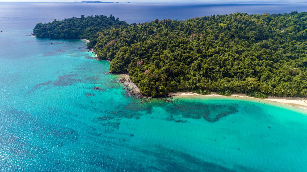 Forest and beach of Isla Coibita, home of the Smithsonian research station in Coiba