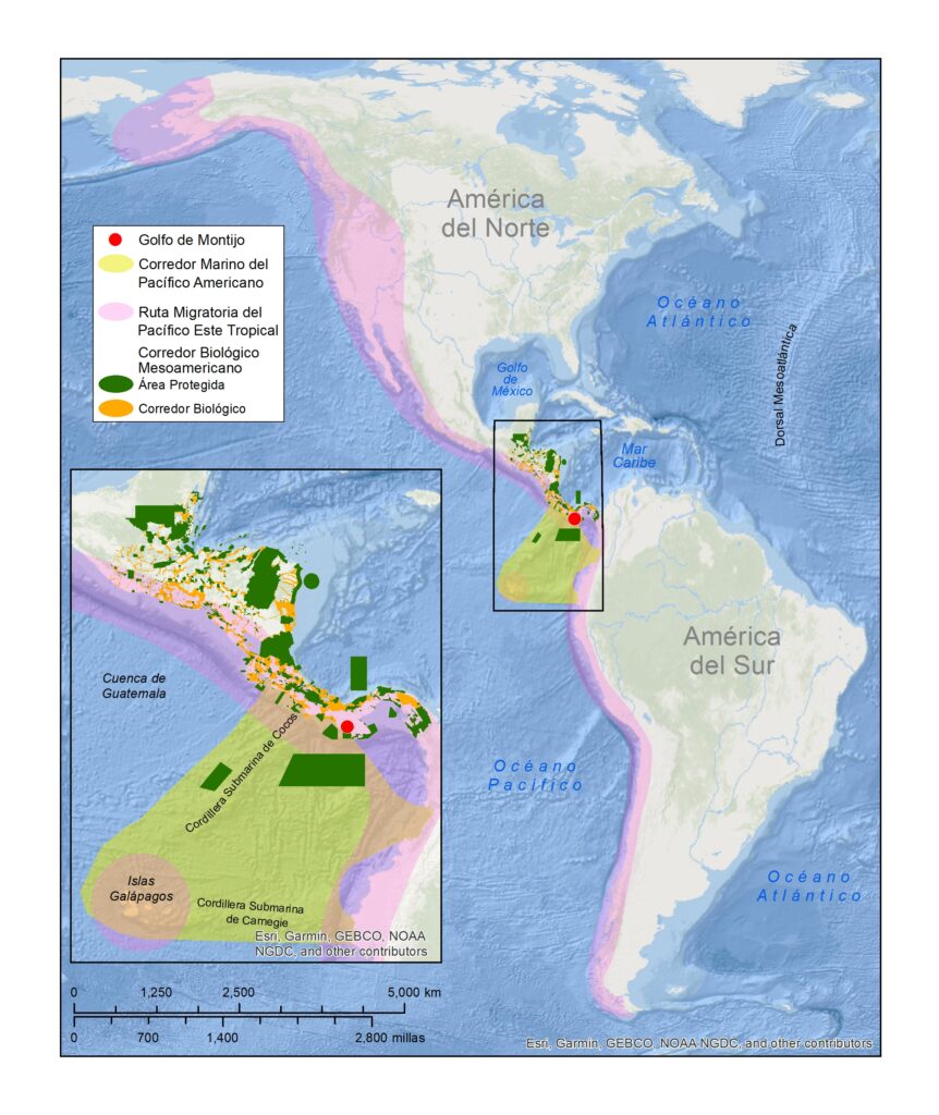 Eastern Tropical Pacific Marine Corridor (CMAR)