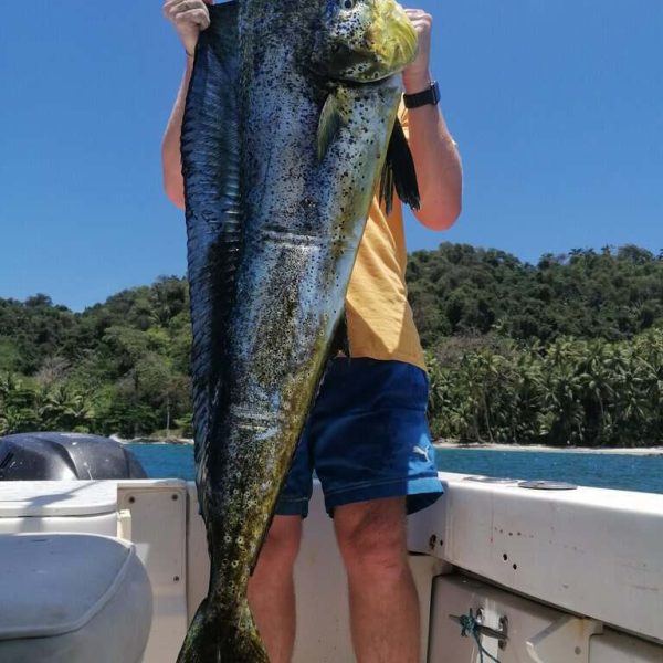 Fishing Mahi-Mahi in Coiba, Panama