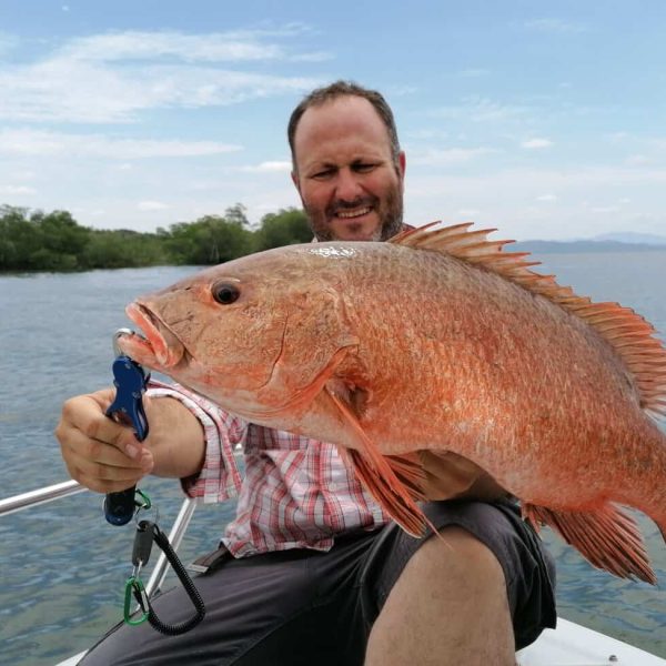 Fishing Red Snapper in Mutis