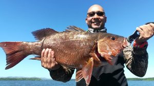 Fishing in Mutis, Red Snapper