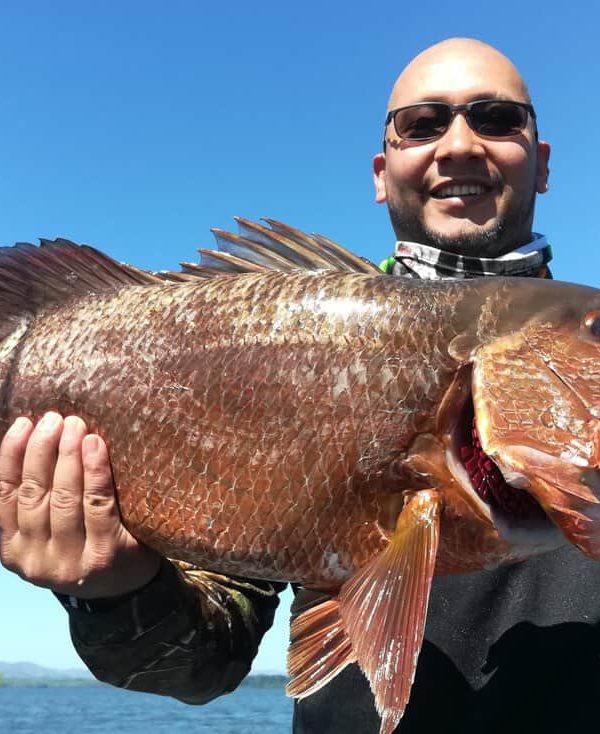 Fishing in Mutis, Red Snapper