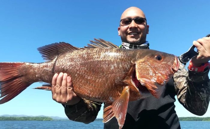 Fishing in Mutis, Red Snapper