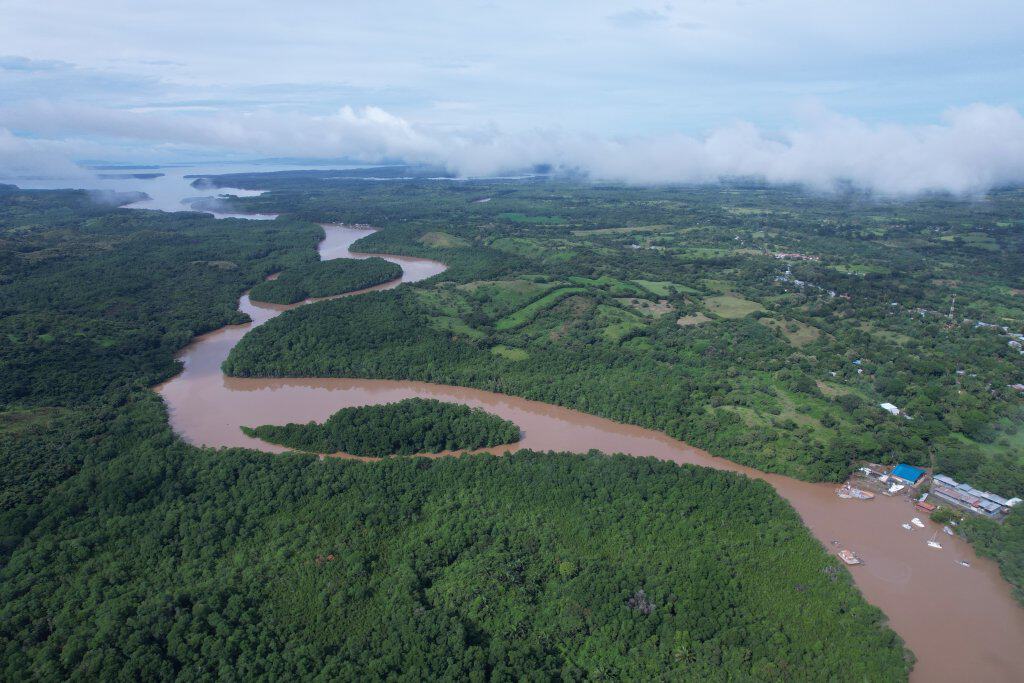 Vista aérea de ríos y manglares en el Golfo de Montijo, Panamá