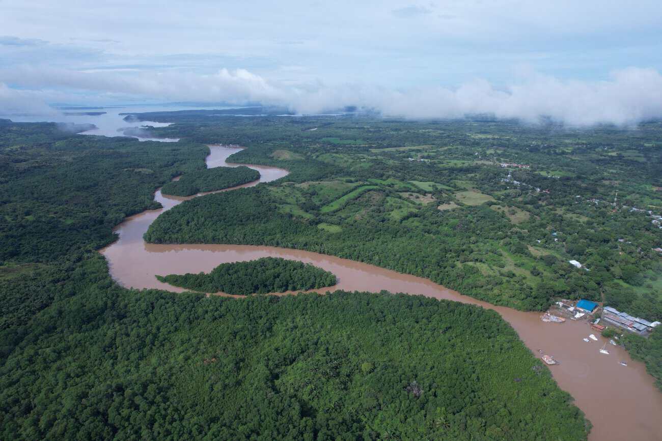 Vista aérea de ríos y manglares en el Golfo de Montijo, Panamá