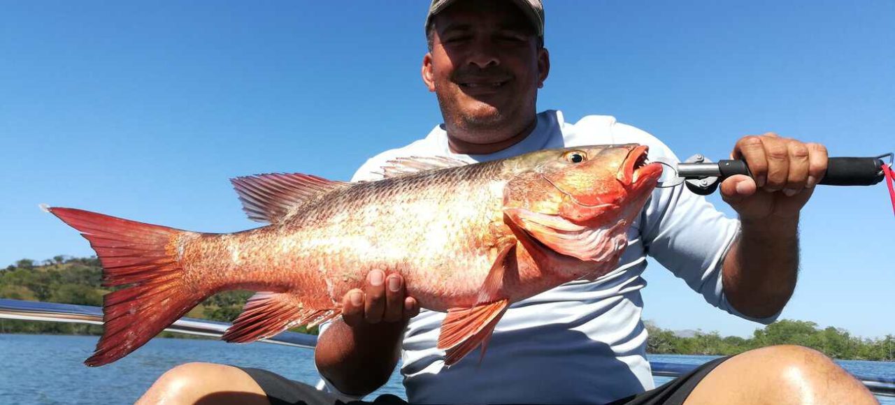 Red Snapper Panama
