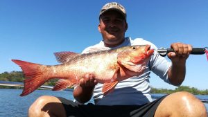 Red Snapper Panama