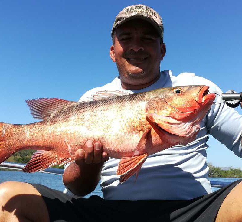 Red Snapper Panama