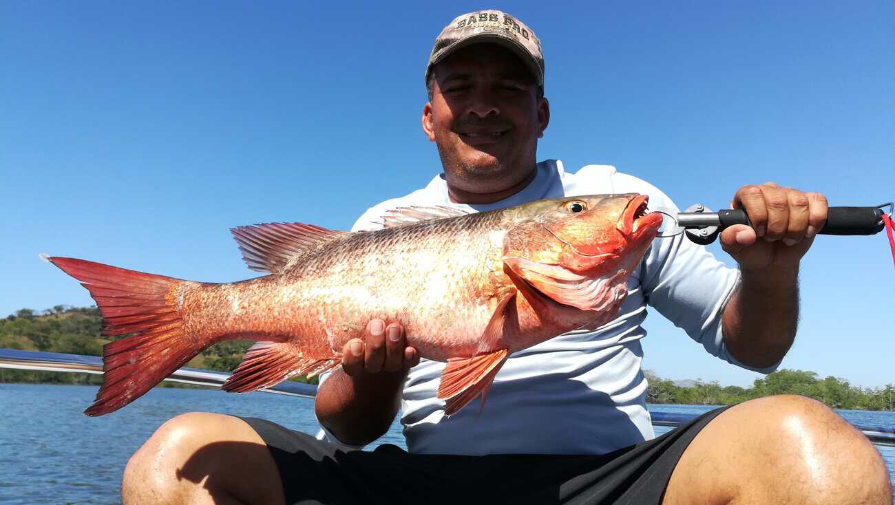 Red Snapper Panama