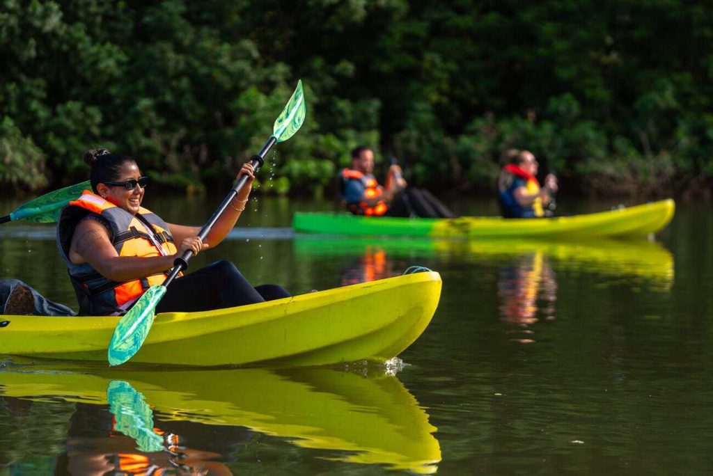 Kayak en el Golfo de Montijo