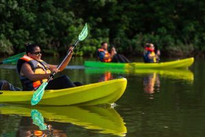 Kayak en el Golfo de Montijo