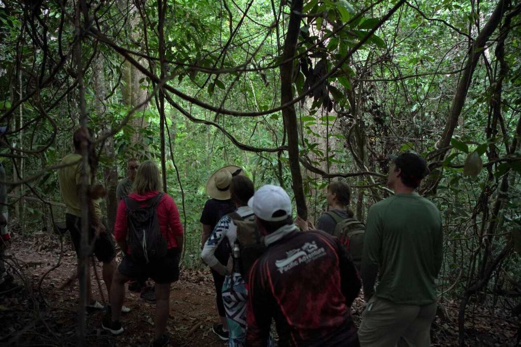 Sendero por la selva tropical de Isla Coiba, Panamá