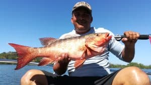 Red Snapper Panama